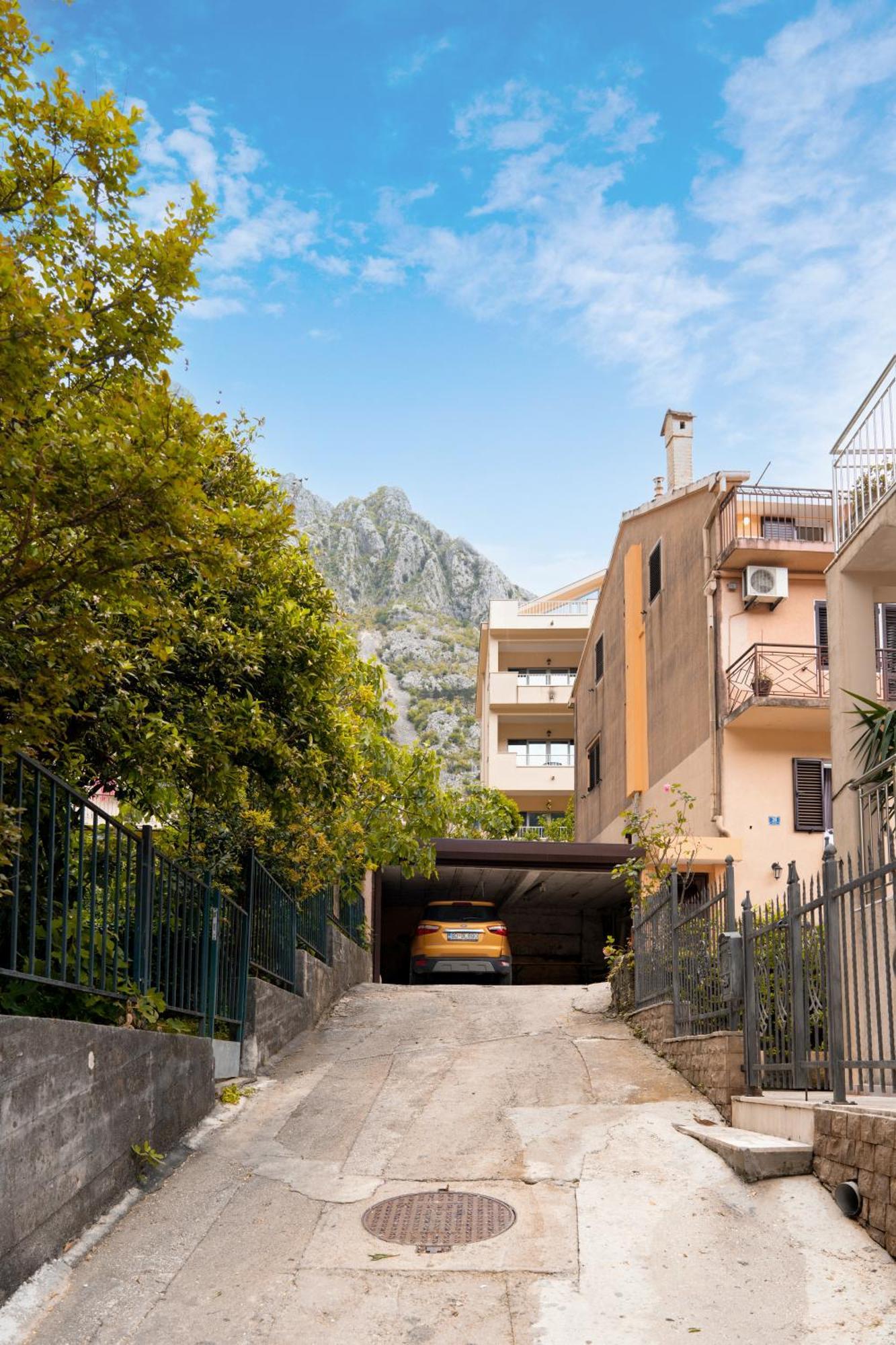 Apartment Busola Kotor Dış mekan fotoğraf